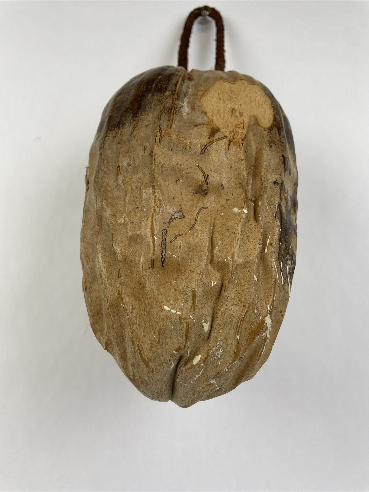 Coconut Carved Hand Made Tribal Native Head Decor Wall Hanging Shell Eyes Creepy