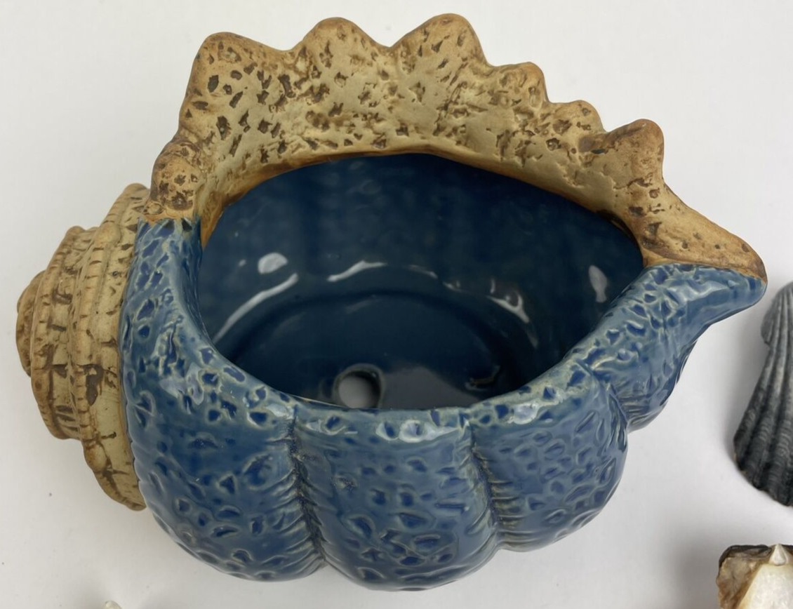 Sea Shell Blue Ceramic Planting Pot Succulent Planter Garden w Sea Shells Cali