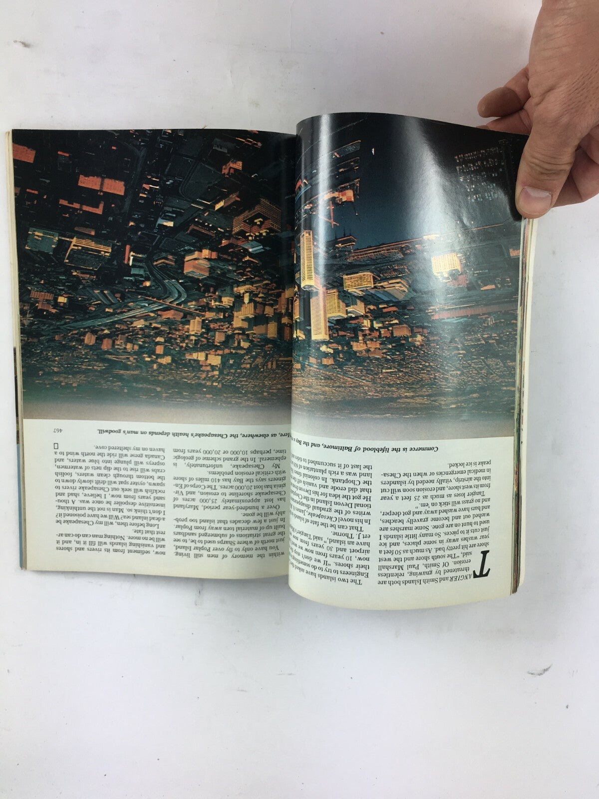 October 1980 National Geographic Magazine Bamboo The Giant Grass Gauchos Albania