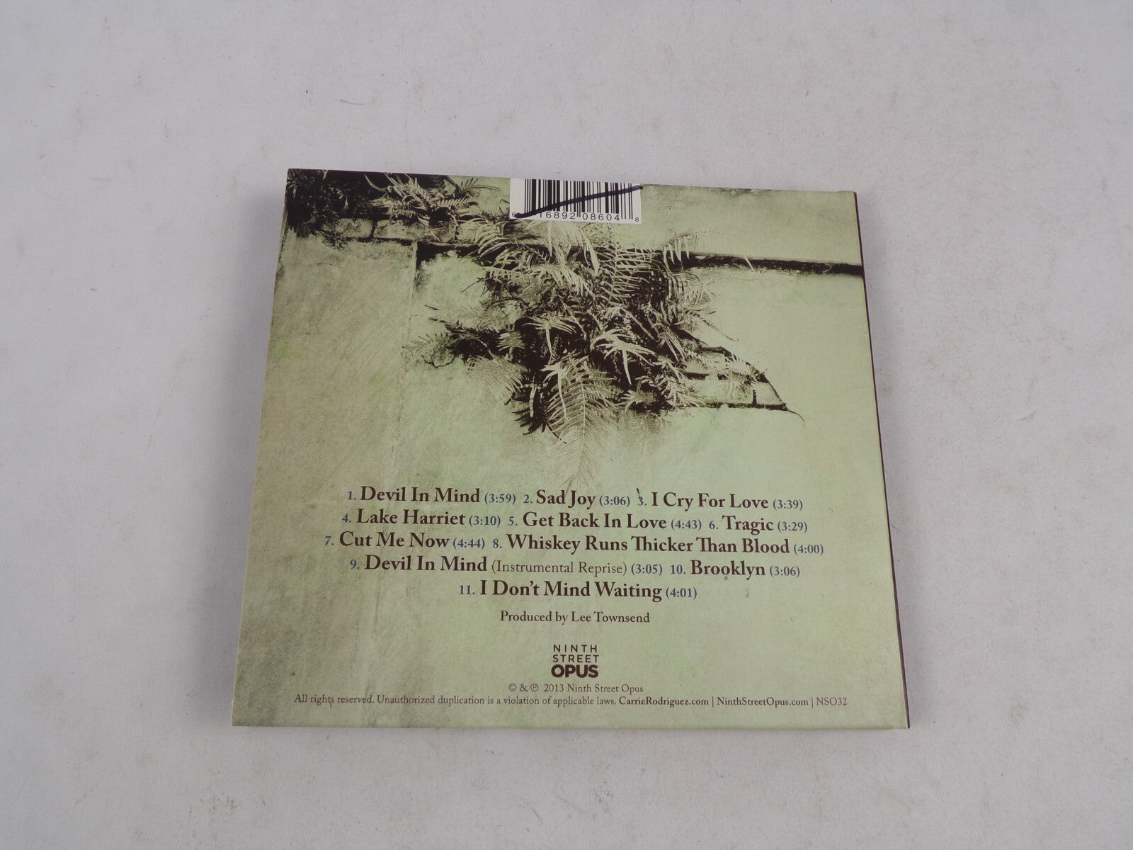 Carrie Rodriguez Give Me All You Got Devil In Mind Sad Joy I Cry For Love CD#58