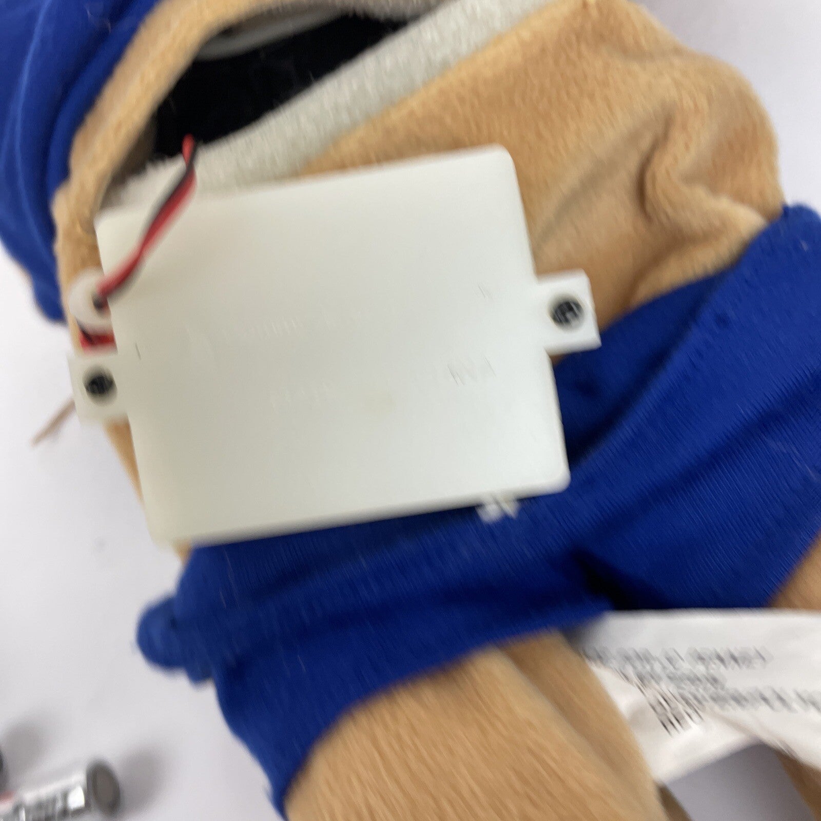 JC Penney UCLA Bruins Singing Dancing Bear University Mascots Collection - Works