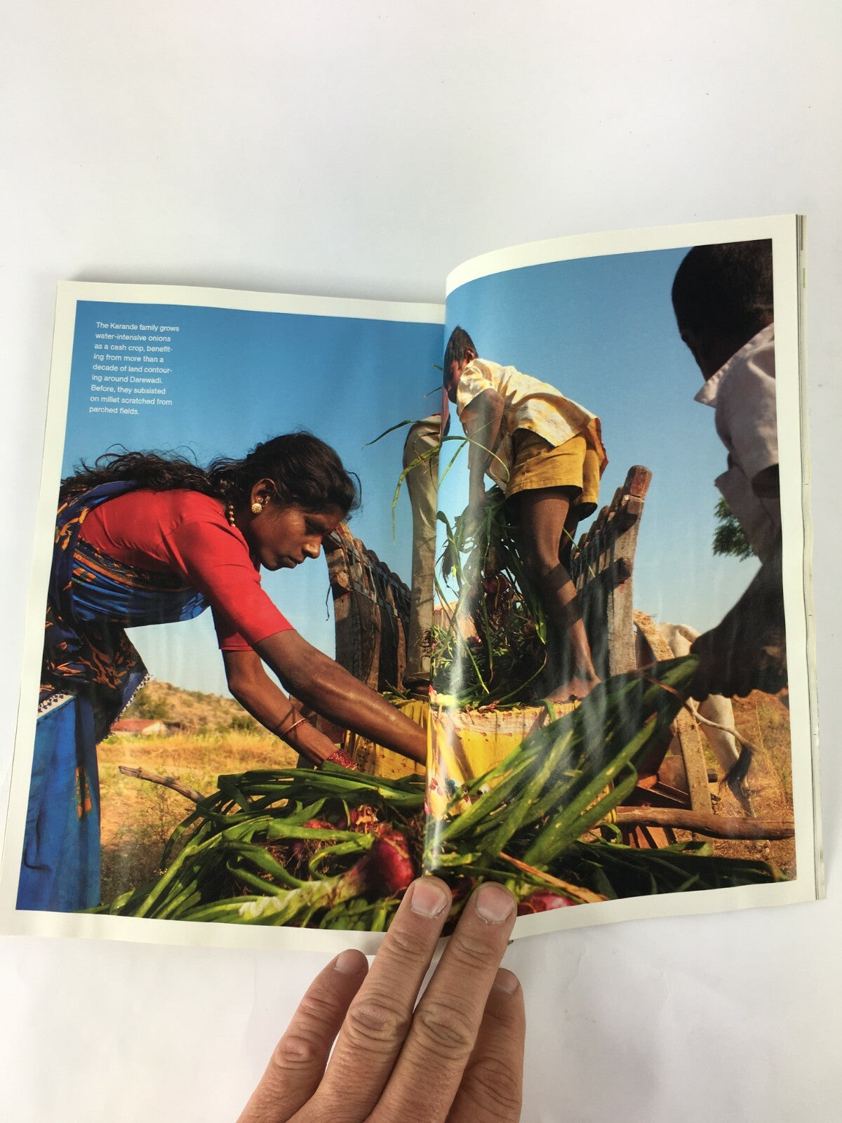 November 2009 National Geographic Magazine Egypts Animal Mummies Stone Labyrinth