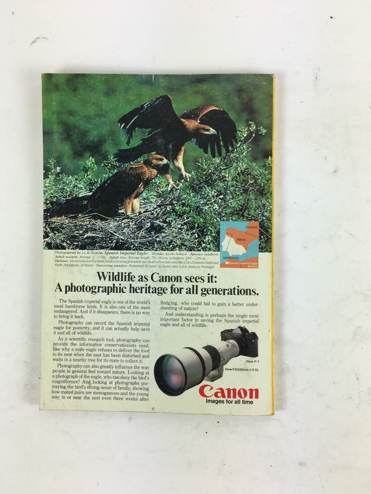 February 1982 National Geographic Magazine Napoleon Humming Birds Ghost Galleon