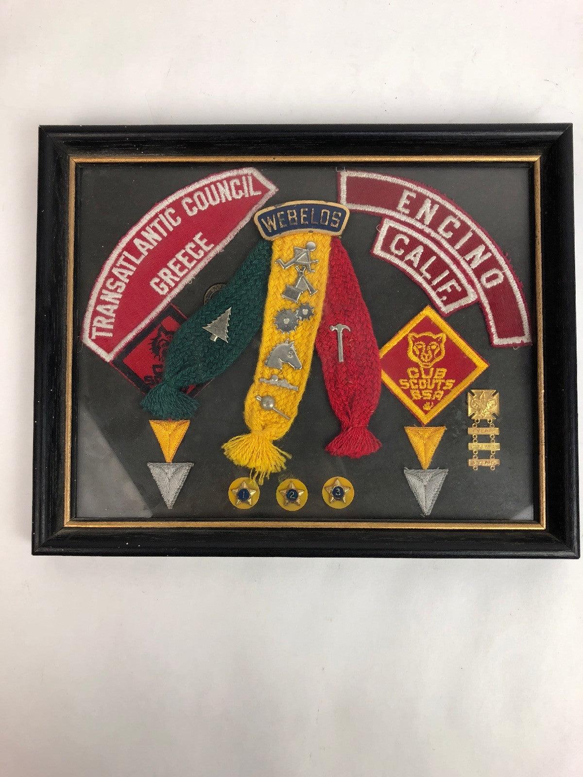 VINTAGE  BOY SCOUT  - CUB WEBELOS COLORS CURVED TOP WITH 8 PINS + More FSTSHP
