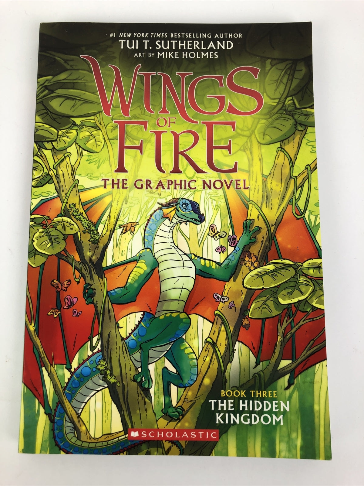 Wings of Fire " The Hidden Kingdom " The Graphic Novel #3 Scholastic Mike Holmes
