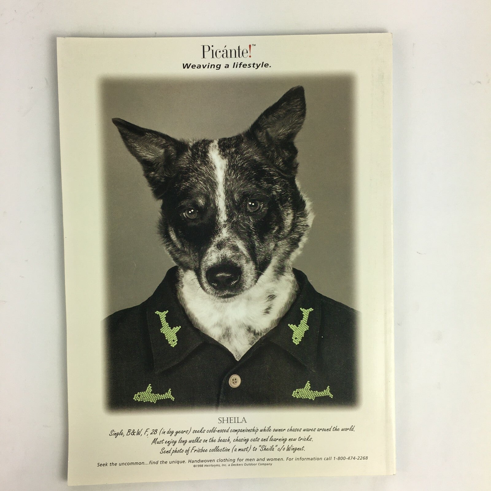 February 1998 LongBoard Magazine Visceral Art All Photo Issue 