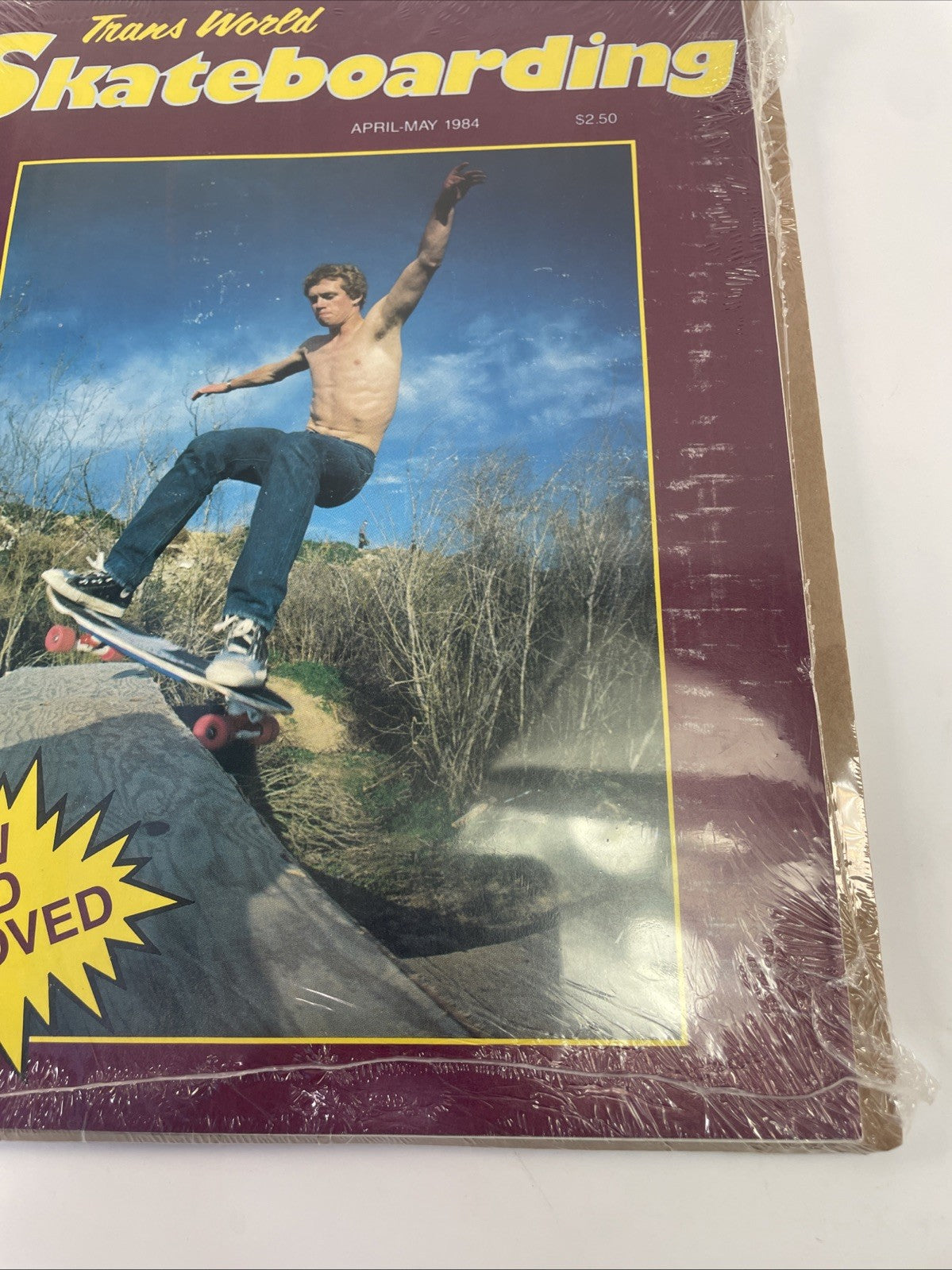 Vintage Transworld Skateboarding Magazine April - May 1984 ( TransWorld ) VGC