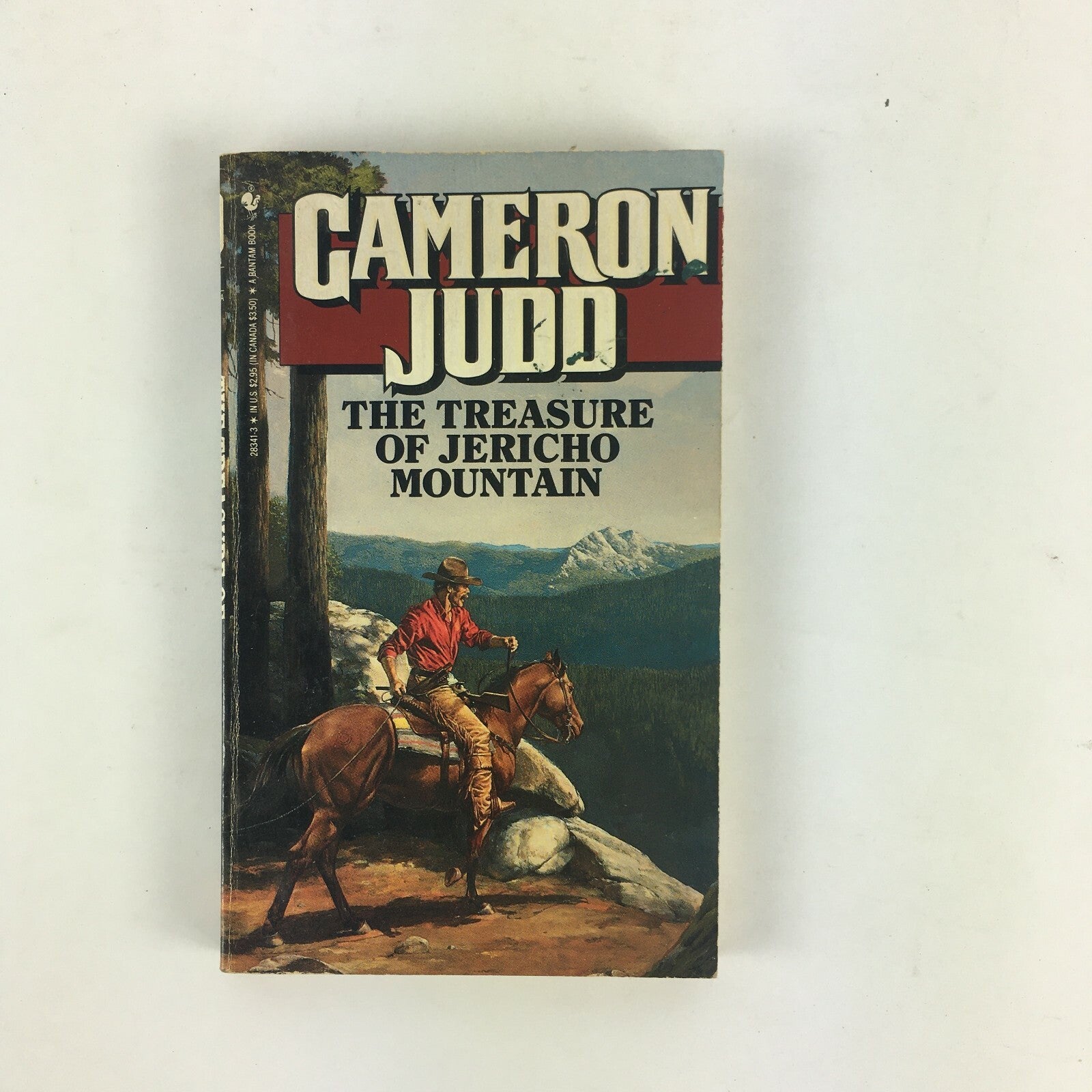Cameron Judd The Treasure of Jericho Mountain