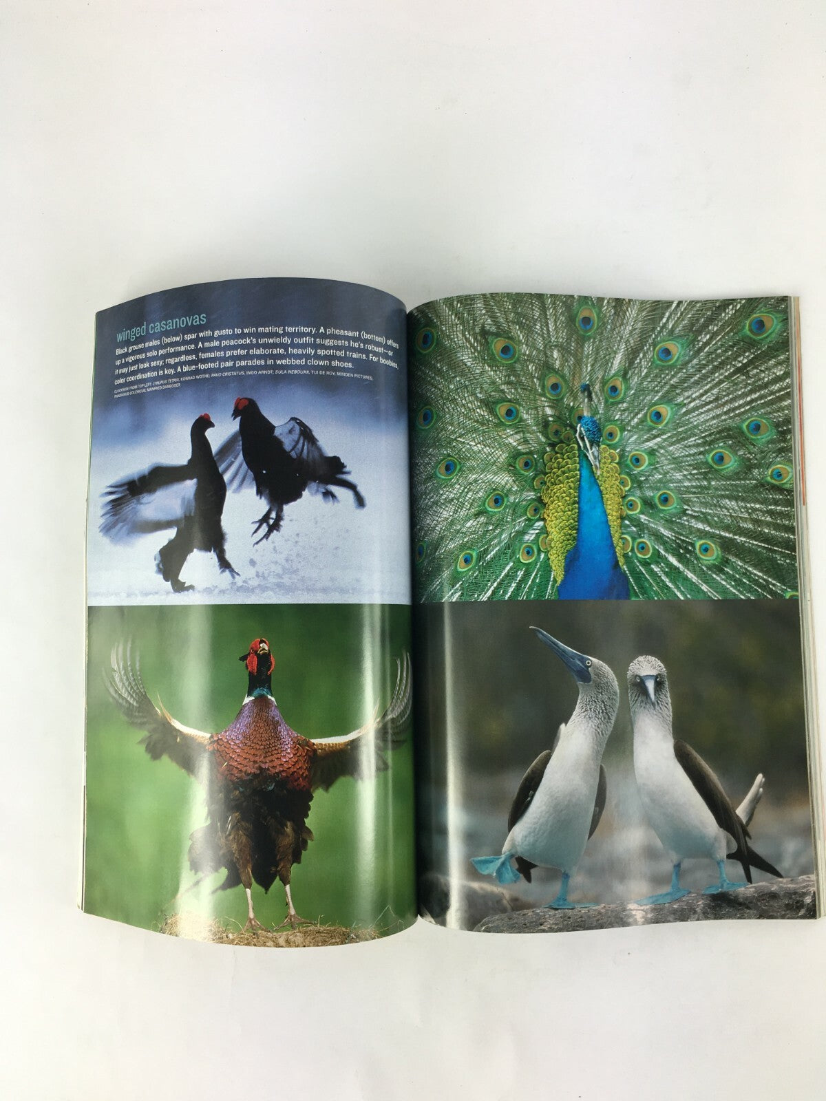 July 2003 National Geographic Magazine Divided Korea Face Off Along The DMZ