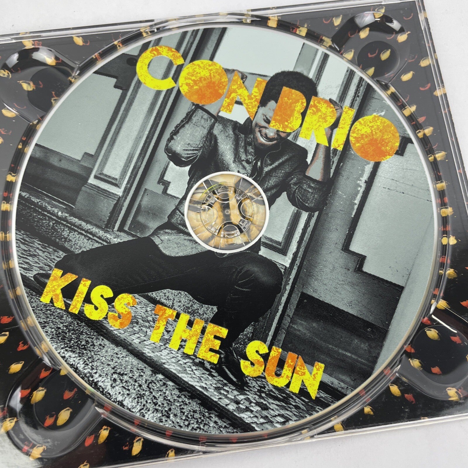 " Con Brio " Kiss The Sun and Paradise Lot of 2 Digital Audio CD Burning House
