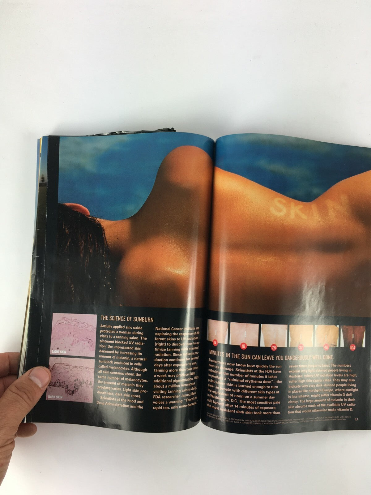 November 2002 National Geographic Magazine Unmasking Skin Gelada Monkeys