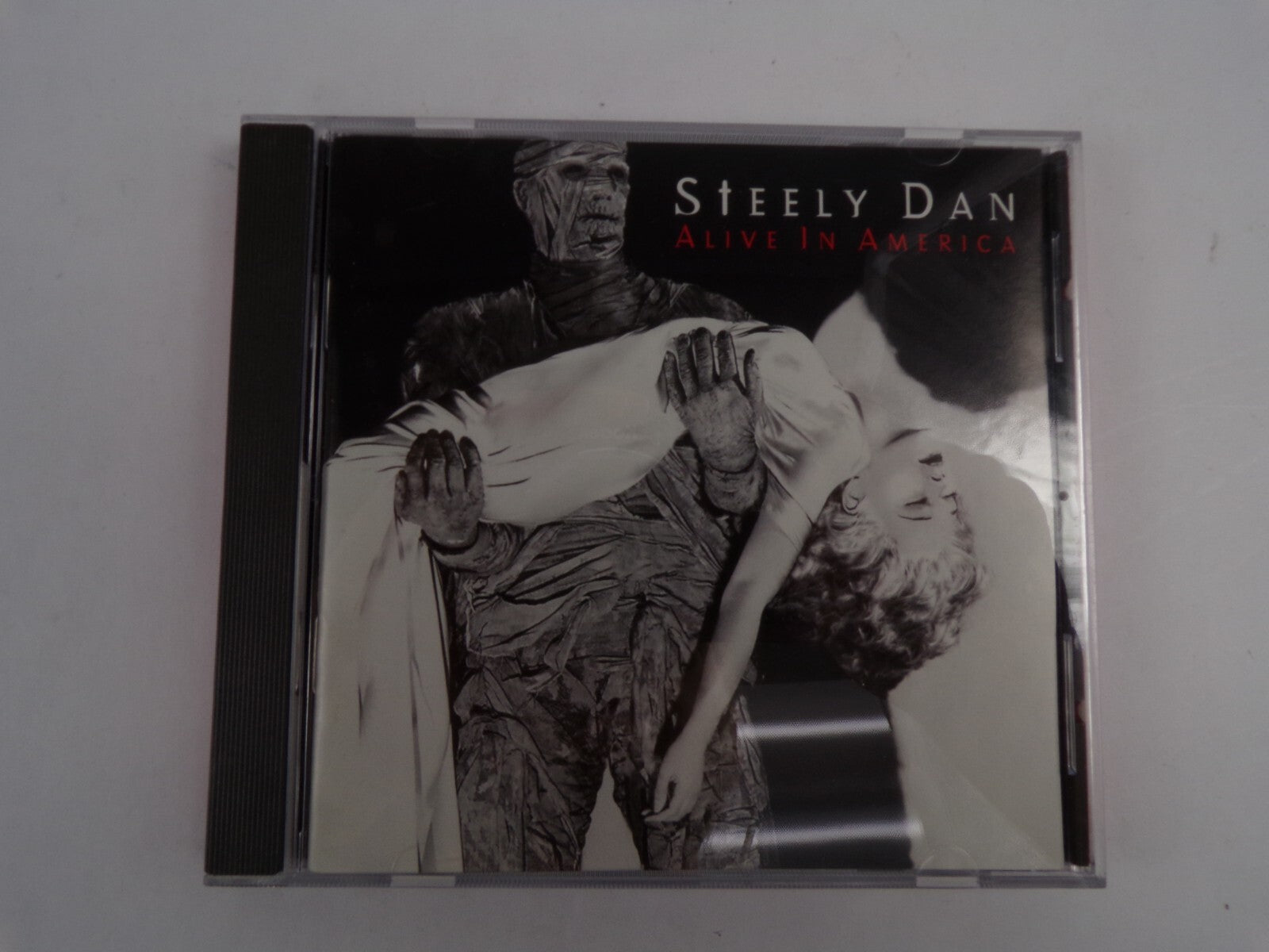 Steely Dan Alive In America Babylon Sisters Green Earrings Budhisattva CD#41