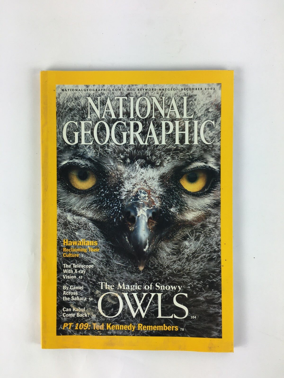 December 2002 National Geographic Magazine The Magic of Story Owls Ted Kennedy