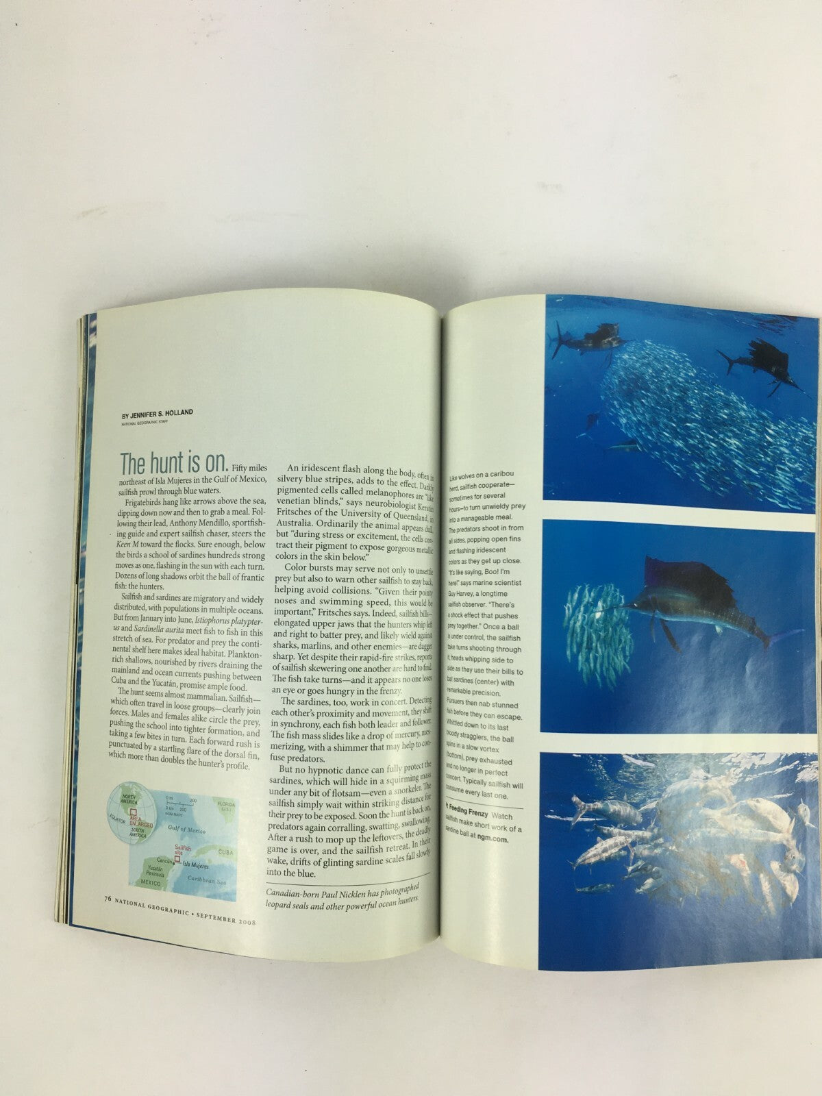 September 2008 National Geographic Magazine Where Food Begins The Green Sahara