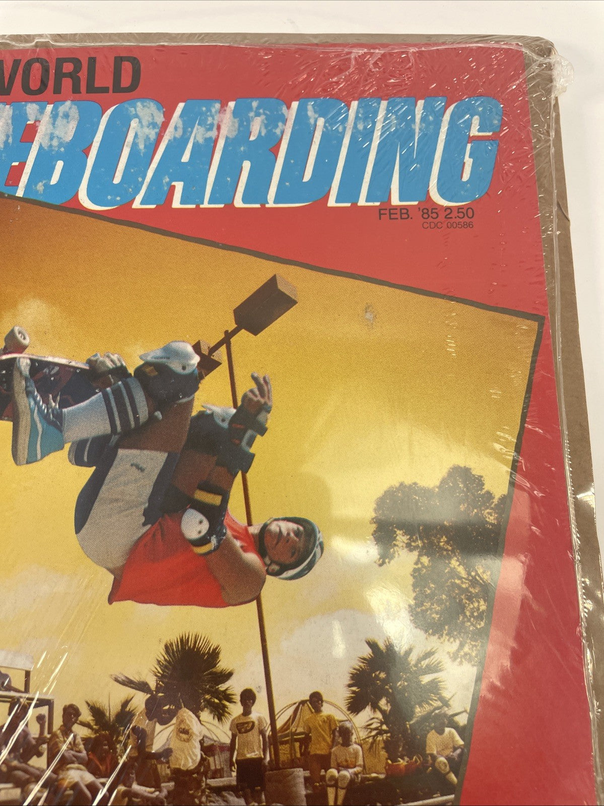 Transworld Skateboarding Magazine February 1985 Mike McGill "The Trick" Mctwist