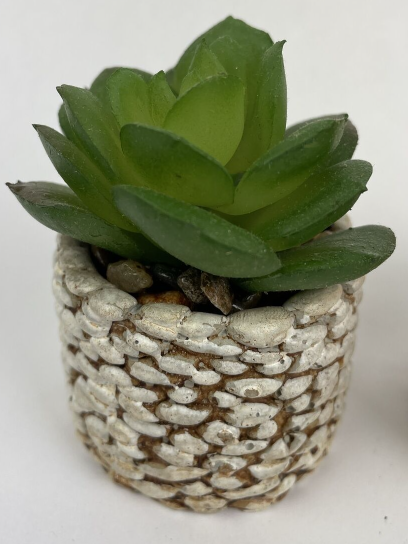 4 x Karlliu Artificial Plants Mini Succulent Flowers in Ceramic Pot Small Fake