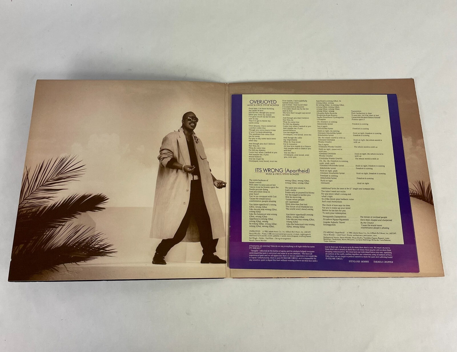 Stevie Wonder In Square Circle Vinyl Record