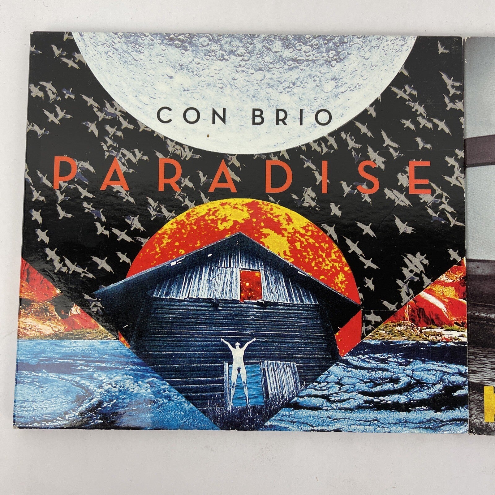 " Con Brio " Kiss The Sun and Paradise Lot of 2 Digital Audio CD Burning House