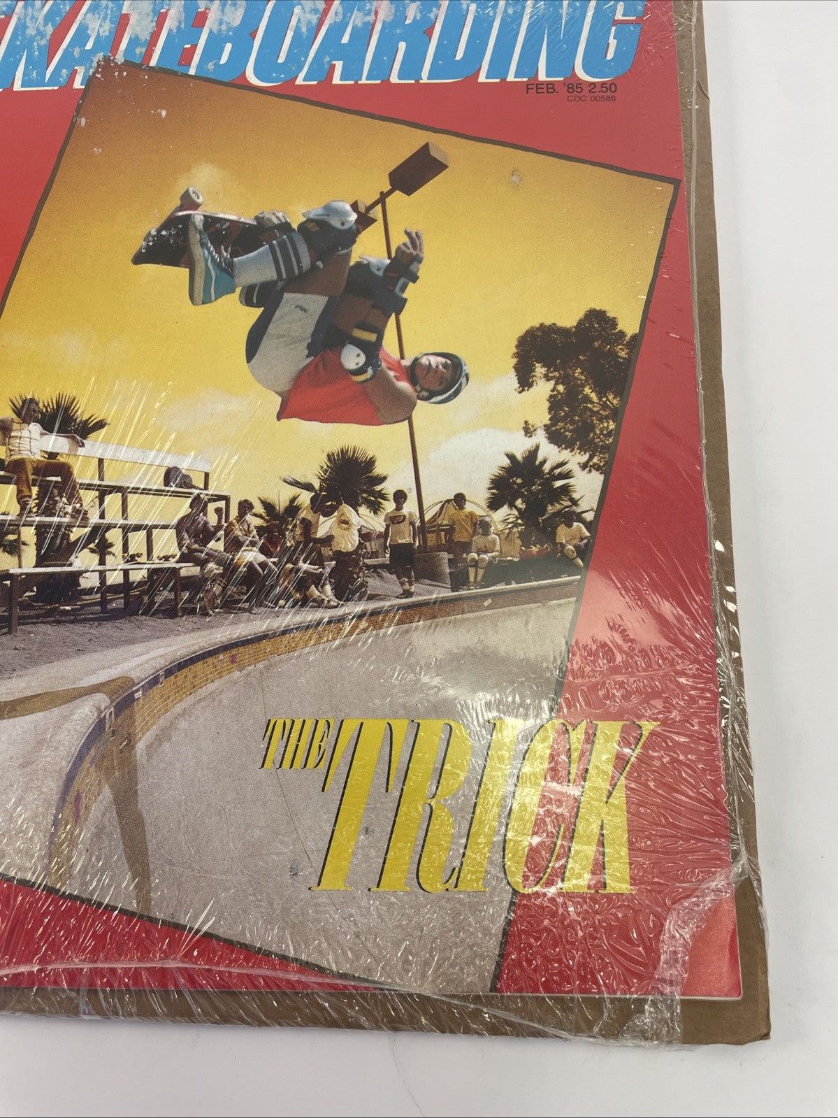 Transworld Skateboarding Magazine February 1985 Mike McGill "The Trick" Mctwist