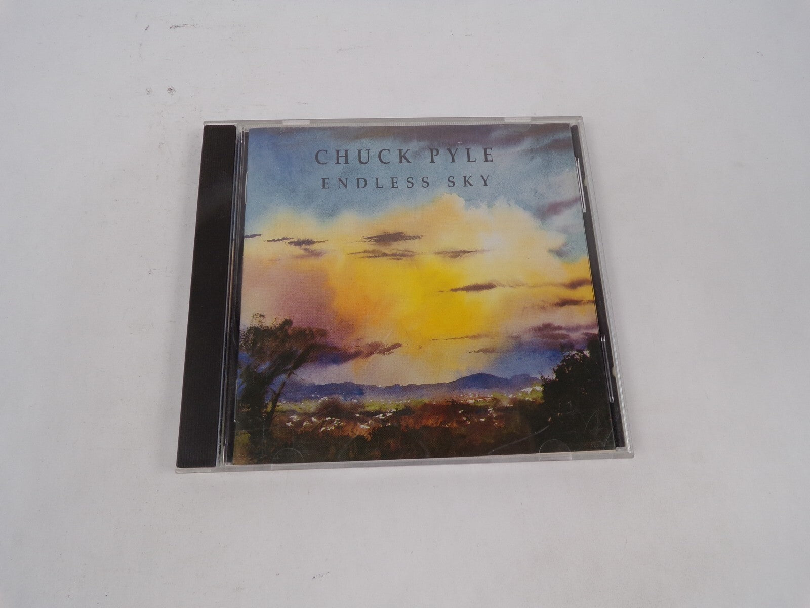 Chuck Pyle Endless Sky Rio Rey Gypsy Minor Everyday Now Akasha Wind Slow CD#68
