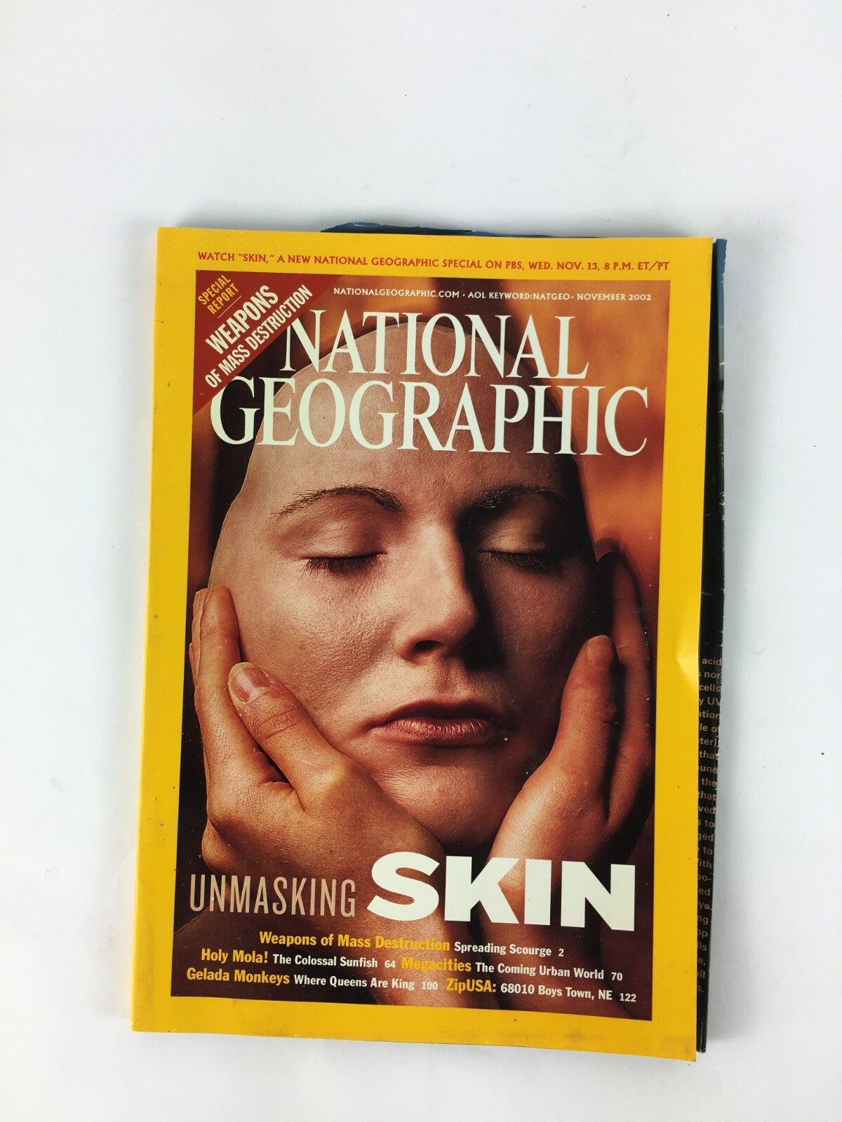 November 2002 National Geographic Magazine Unmasking Skin Gelada Monkeys