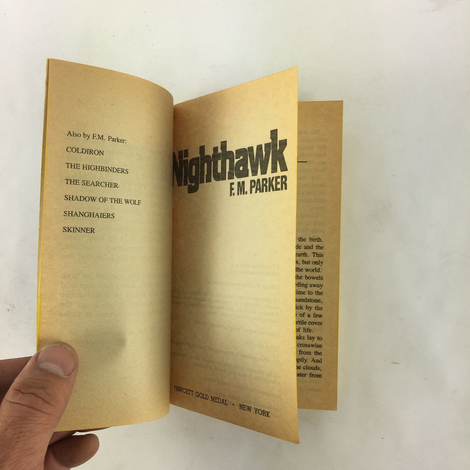 Nighthawk F.M.Parker A boy one day.A killer and an outlaw the next..