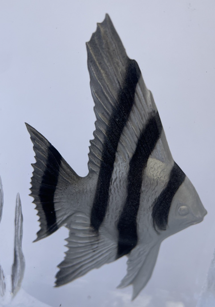 Nybro Sweden Crystal Fish Sculpture Peter Nilsson Tropical Atlantic Spade Fish