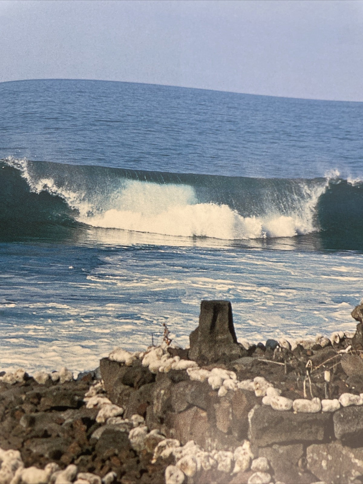 The Surfer's Journal Volume NINETEEN 19 Number ONE 1 Brazilian Meat Carlos Burle