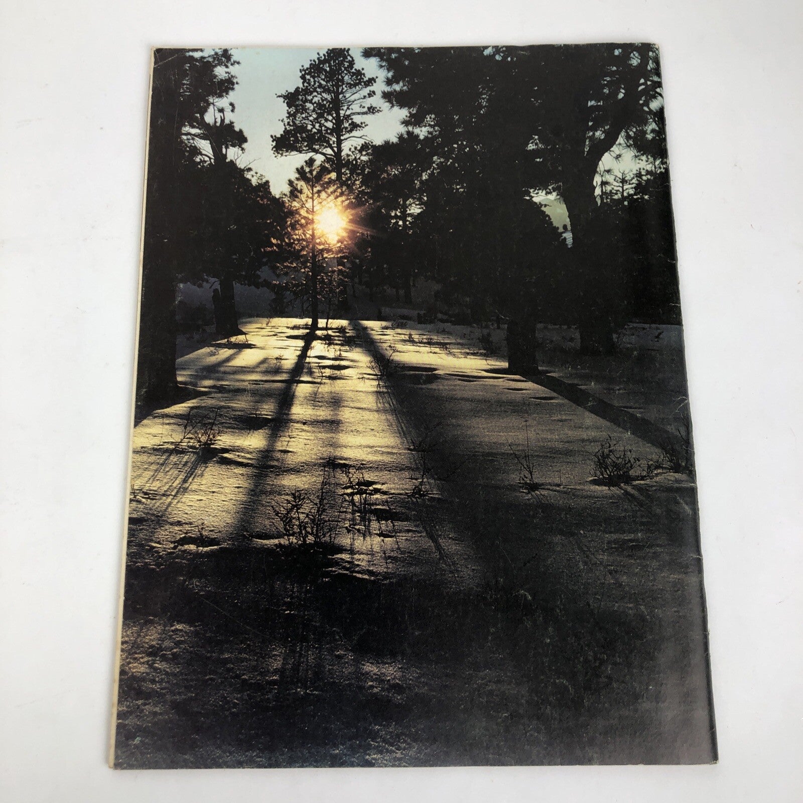 RARE 1972 NOVEMBER ARIZONA HIGHWAYS THORNE MINATURE ROOMS SYCAMORE WESTERN WAYS