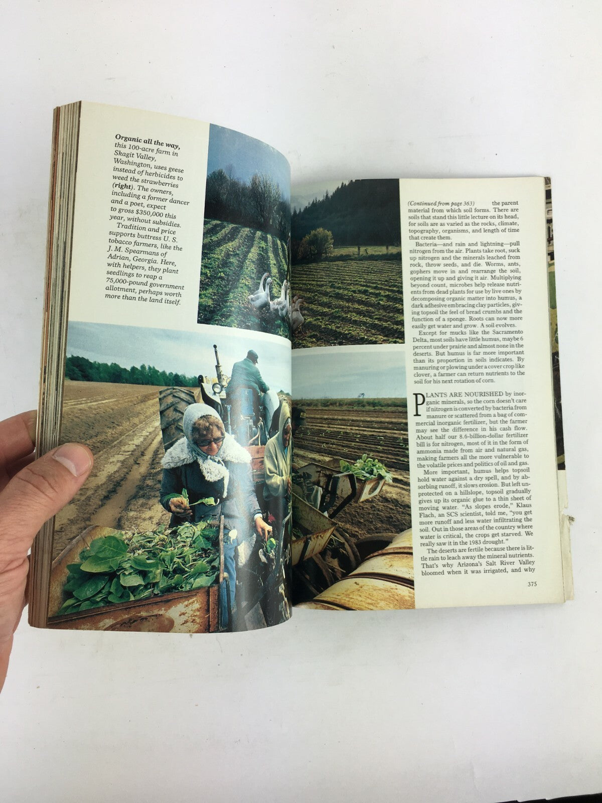 September 1984 National Geographic Magazine Man and Manatee The Okies Beyond..