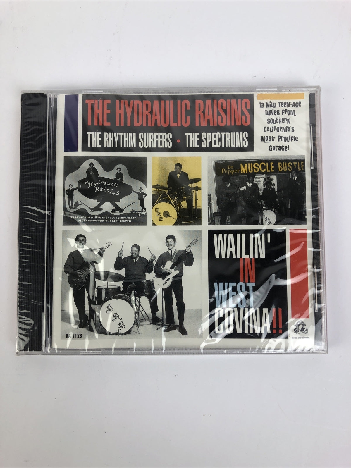 NEW The Hydraulic Raisins The Rhythm Surfers The Spectrums Big City Surfer CD#34