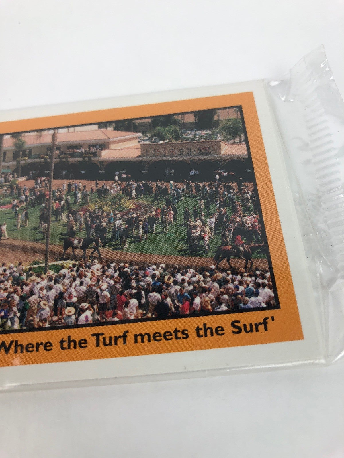 RARE 1998 DEL MAR “ PACIFIC CLASSIC" Horse Star Cards , Fast Shipping!