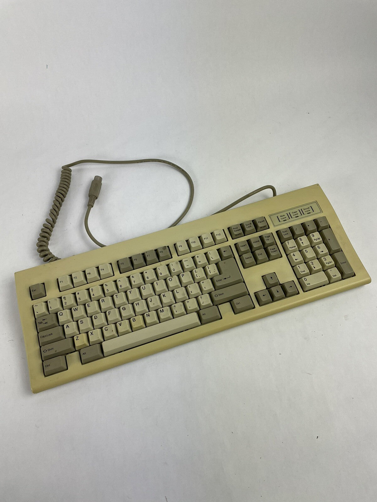 Chicony KB-5311 (DIN-5) AT Connector Vintage Mechanical Computer Keyboard