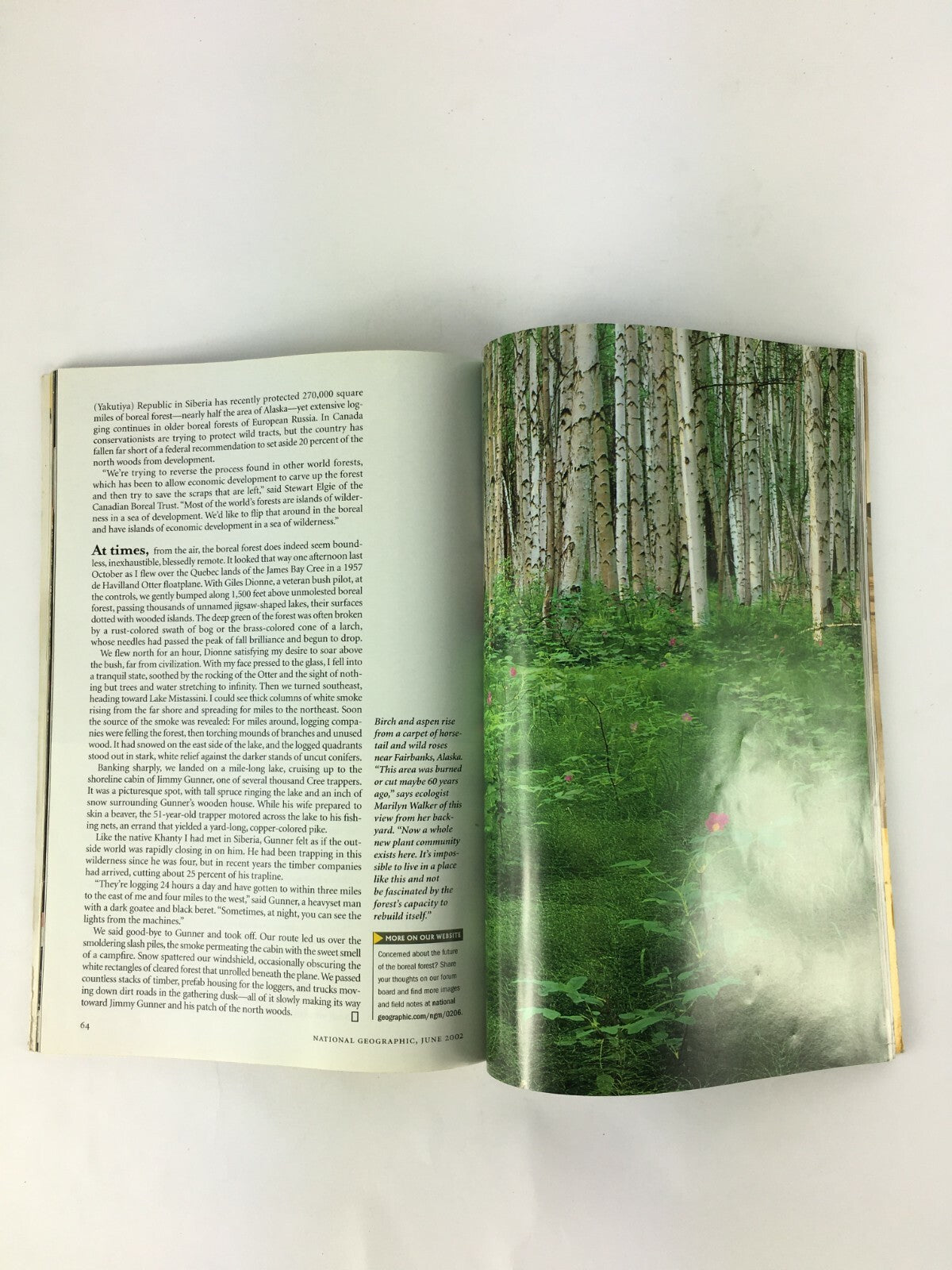 June 2002 NationalGeographic Magazine Untold Stories of D-Day Aol Keyword Natgeo