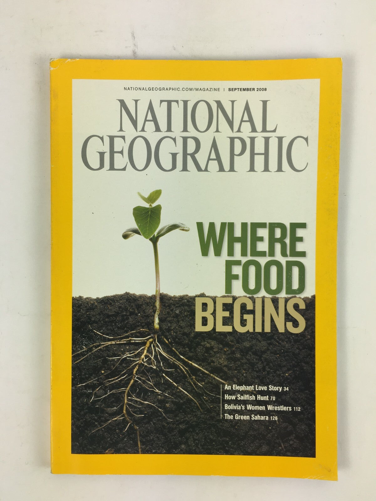 September 2008 National Geographic Magazine Where Food Begins The Green Sahara