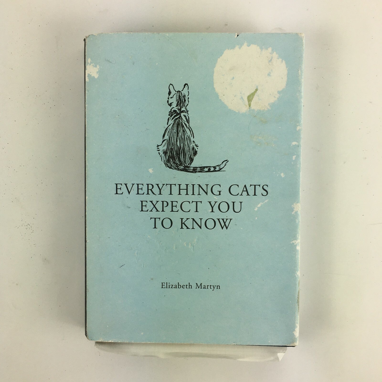 Everything Cats Expect You To Know Elizabeth Martyn