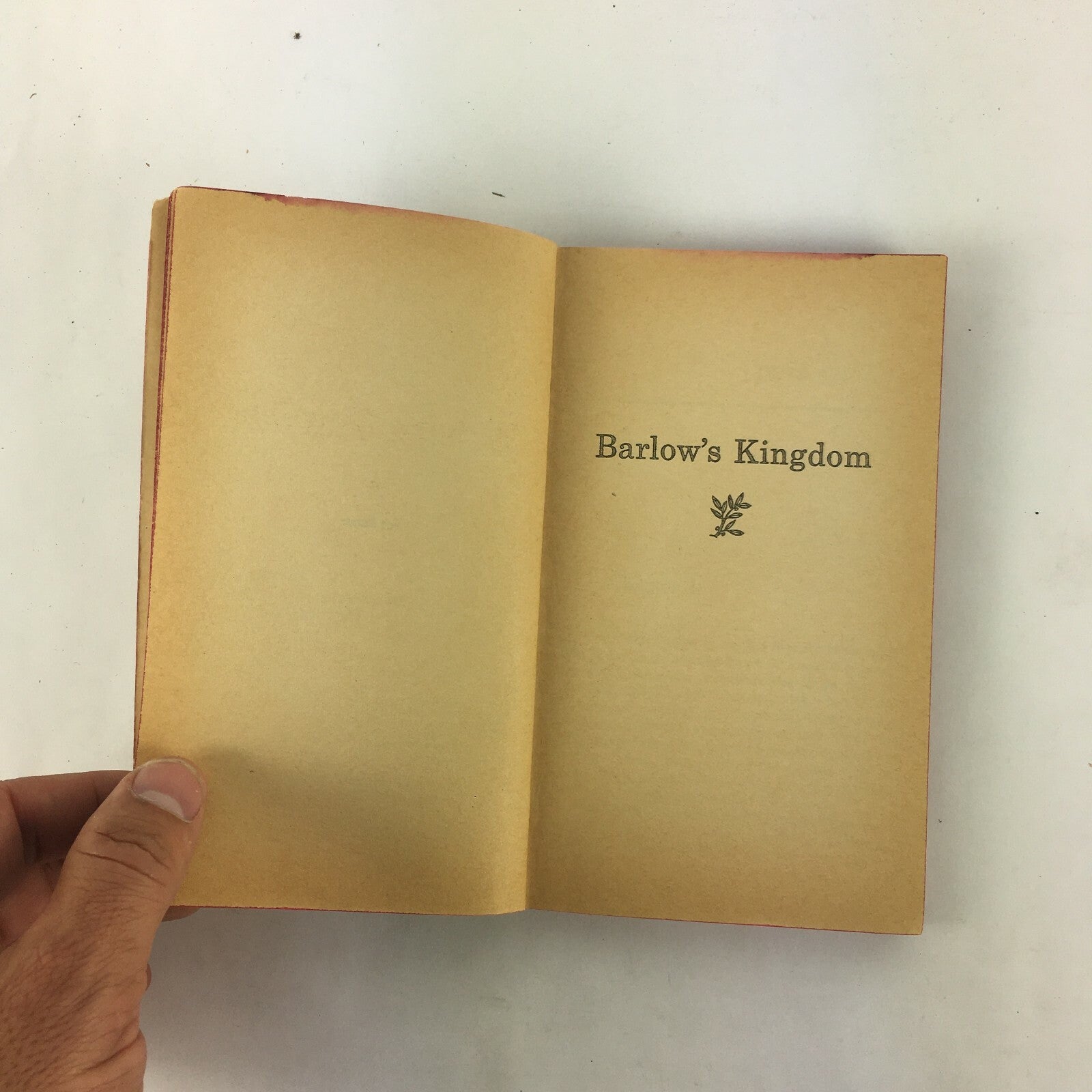 A Western tale of lust and violence Barlow's Kingdom by John Redgate