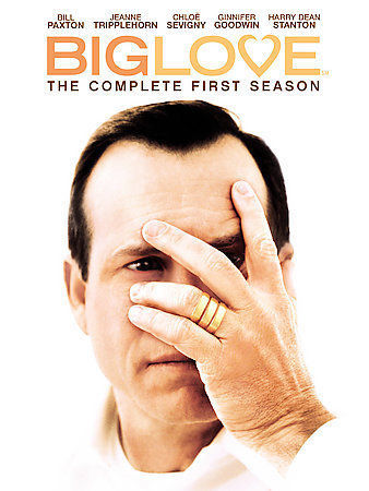 Big Love - Complete First Season (DVD, 5-Disc Set) 1st 1 - Like New - FSTSHP